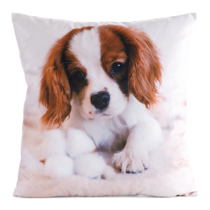 Pillowcase 45 x 45 Decorative Print Animal 72