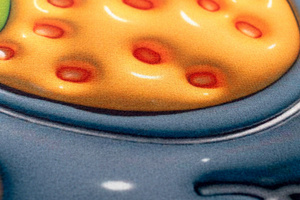 Mata łazienkowa 3D Antypoślizgowa Chłonna Magic 21