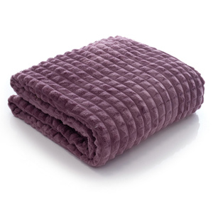 Blanket 200 x 220 Microfiber Stamped Larissa 05