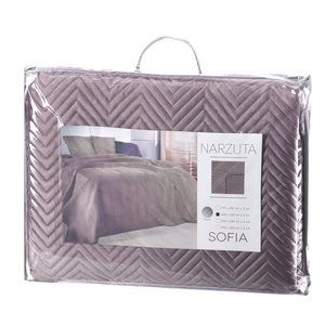 Sofia Powder1 Decorative Velour Bedspread 220 x 240