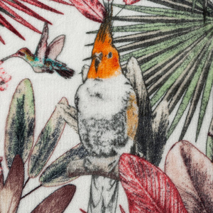 Koc 150 x 200 Mikrofibra Parrot Zieleń+Róż