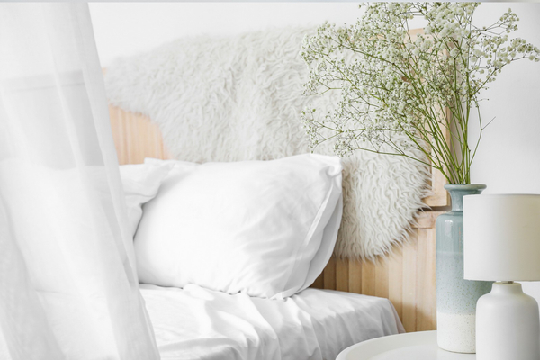 Cotton pillowcase 40 x 40 Hotel Smooth Axel Plant