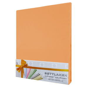 Sheet 160 x 200 Without Elastic Cotton Aloiso 14