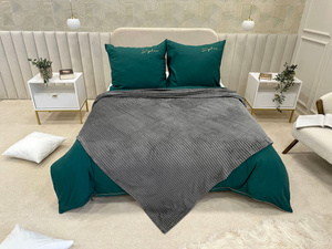 Blanket 200 x 220 Microfiber Plush Cadence Stripes 02