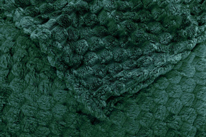 Blanket 200 x 220 Microfiber Design Cindy6 C.Green