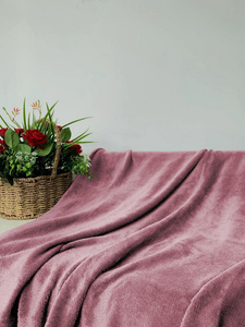 Blanket 200 x 220 Microfiber Solid Juana 10