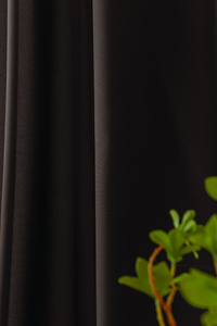 Curtain 140 x 250 Decorative Single Leoni 03 T