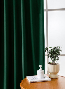 Curtain 140 x 270 Velvet Tunnel Tape Giorgia 11