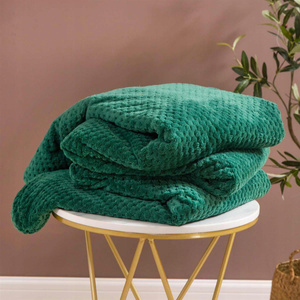 Blanket 200 x 220 Microfiber Jacquard Monte Bottle