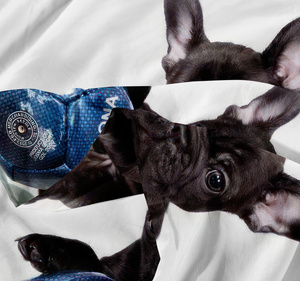 Bedding 140 x 200 2pc Microfiber 3D Andreas 3034