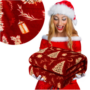 Koc 160 x 200 Mikrofibra Świąteczna Donato 14