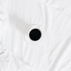 Bed sheet 220 x 260 Without Gum Hotel Cotton Iris