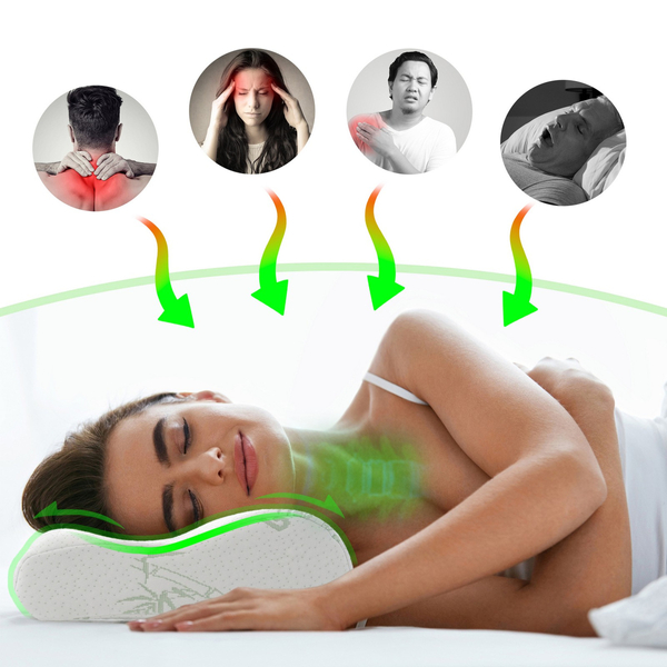 30 x 50 Orthopedic Bamboo Memory Pillow Defna