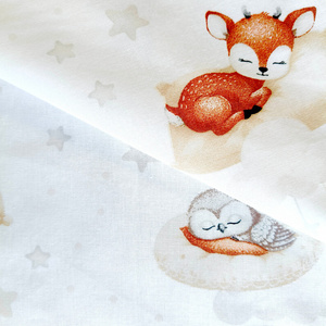 Cushion cover 40 x 40 Cotton for Jasiek Pillow Belluno 259