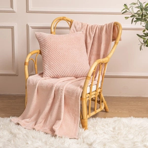 200 x 220 Plush Microfiber Willy Powder Blanket