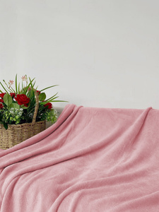 Blanket 160 x 200 Microfiber Solid Juana 09