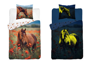 Bedding 140 x 200 2pcs FLUO Youth Jaime 5550A