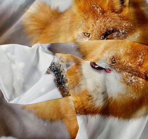 Bedding 160 x 200 3pc Microfiber 3D Andreas 3032