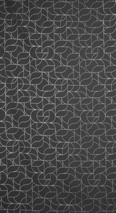 Curtain 140 x 250 Decorative Evi Black+Silver