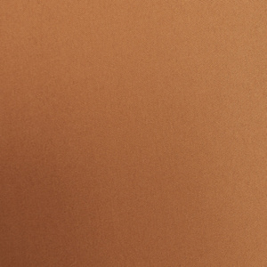 Zasłona 140 x 250 Dekoracyjna Przelotki Rita Rudy