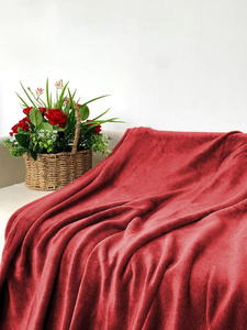 Blanket 200 x 220 Microfiber Solid Juana 12