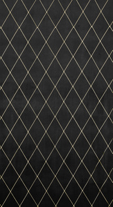 Zasłona Pierre Cardin Margo Czarny 140 x 250 Przelotka