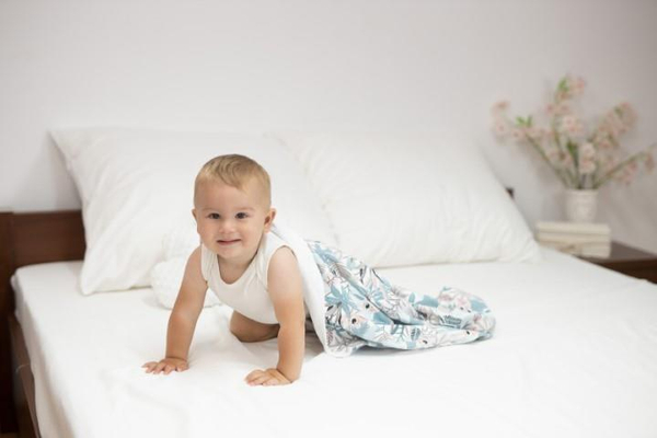 Blanket 75 x 100 Cotton Double-sided Ines 38