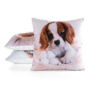 Pillowcase 45 x 45 Decorative Print Animal 72