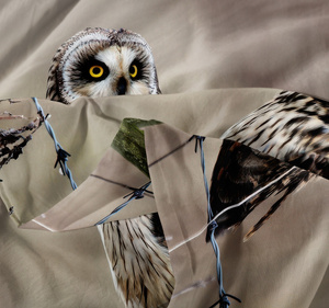 Bedding 160 x 200 3pc Microfiber 3D Andreas 3028