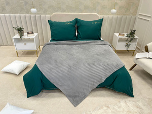 Blanket 160 x 200 Microfiber Plush Stripes Cadence 01