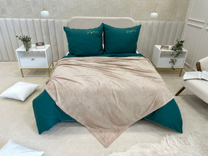 Blanket 200 x 220 Microfiber Plush Cadence Stripes 04