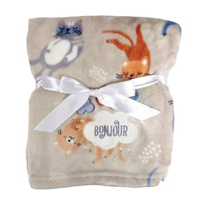 Blanket 75 x 100 Microfiber with Embroidered Ricco RI6B