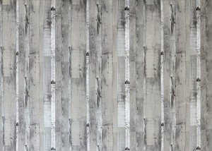 Tablecloth Vinyl Table Cover 140 x 300 Gosia 53