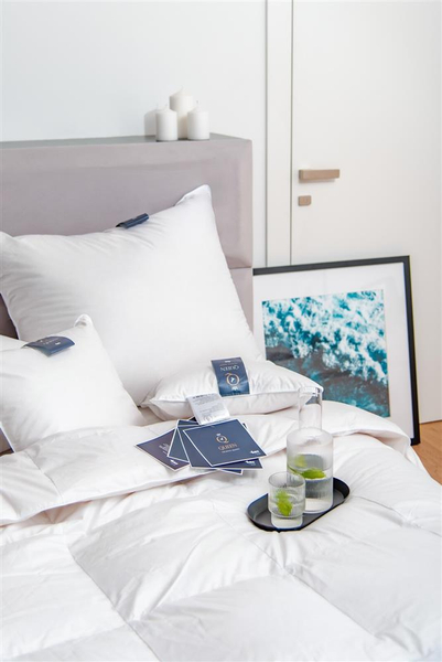 Pillow 40 x 40 Natural Exclusive Queen Firm