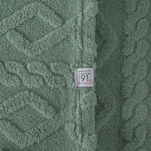 Blanket 200 x 220 Design Microfiber Braid Mint