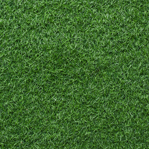 Sztuczna Miękka Gruba Wykładzina Trawa 100cm Kylie