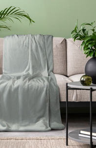 Blanket 150 x 200 Microfiber Two-sided Tedy Silver
