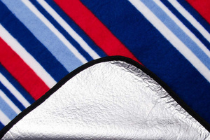200 x 200 Picnic Waterproof Blanket Pablo 09