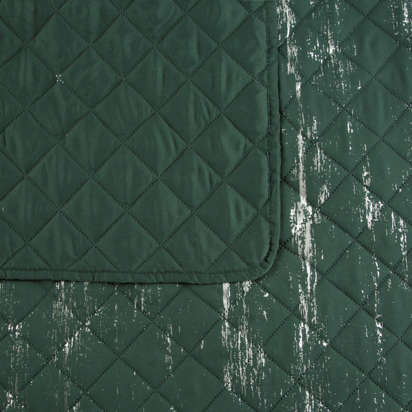 Quilt 170 x 210 Printed Blink/1 C.Zie+Sr