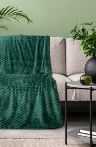 Koc 70 x 160 Mikrofibra Design Cindy6 C.Zieleń