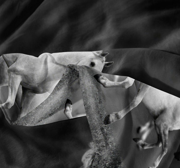 Pościel 140 x 200 2cz Mikrofibra 3D Andreas 3033