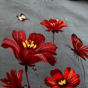 Pościel 160 x 200 3cz Mikrofibra Miś Martino 3184