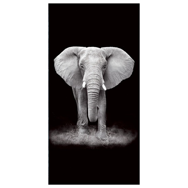 Towel 100 x 180 Bath Holiday 168