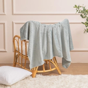 150 x 200 Plush Microfiber Willy Grey Blanket