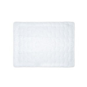 Mattress Protector with 4 Elastic Straps 120 x 200 Ramon