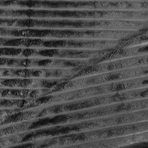 Blanket 200 x 220 Microfiber Plush Cadence Stripes 02