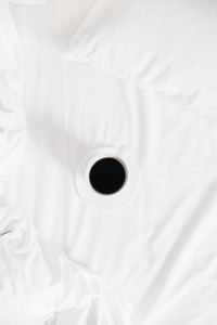 Sheet 220 x 240 Without Elastic Hotel Cotton Iris