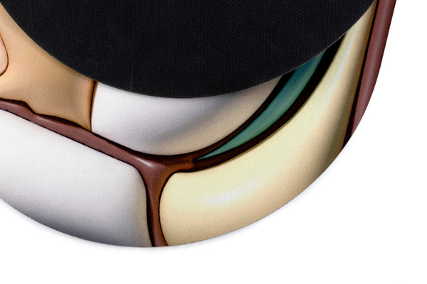 3D anti-slip absorbent bathroom mat Magic 10