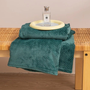 Koc 70 x 150 Pluszowy Mikrofibra Willy Butelkowy