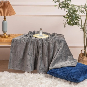 150 x 200 Plush Microfiber Willy Graphite Blanket